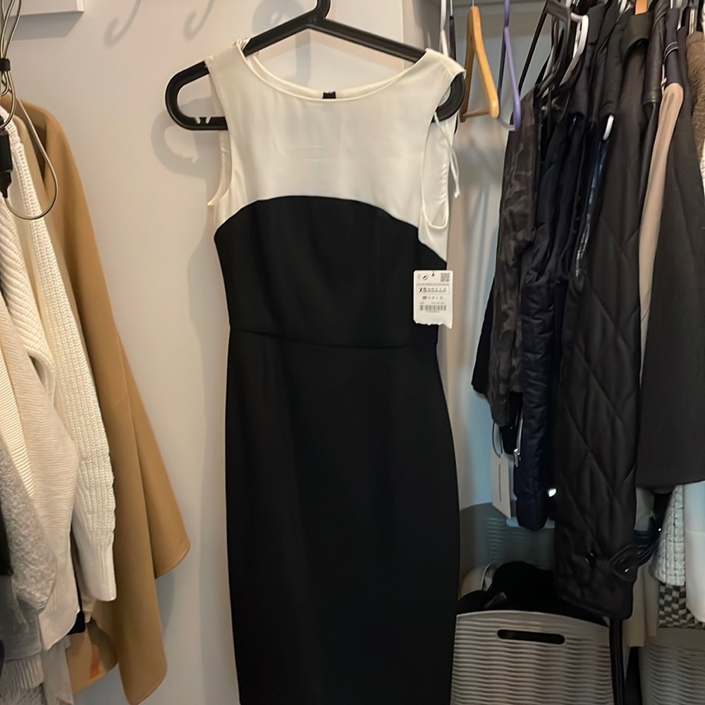 Black and White Zara Dress- never worn